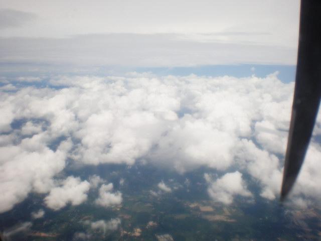 P7230106_resize.JPG